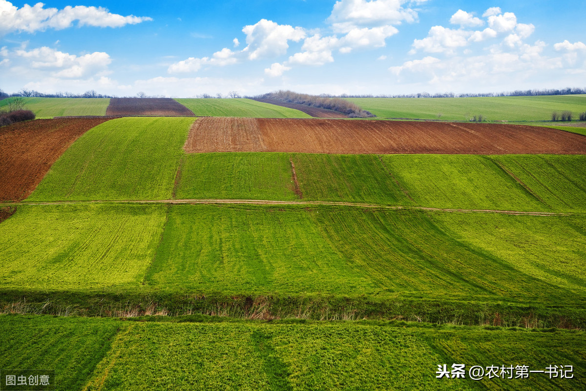 农村承包地的租赁合同怎么写？附合同范本