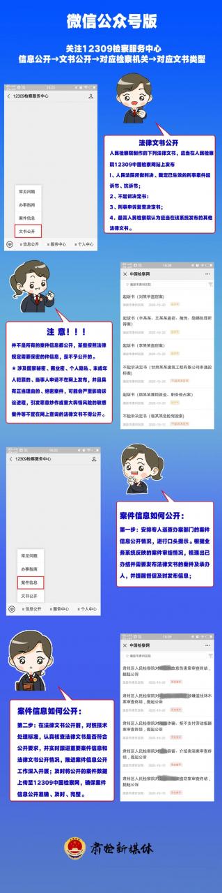 “手把手”教你玩转12309案件信息公开查询
