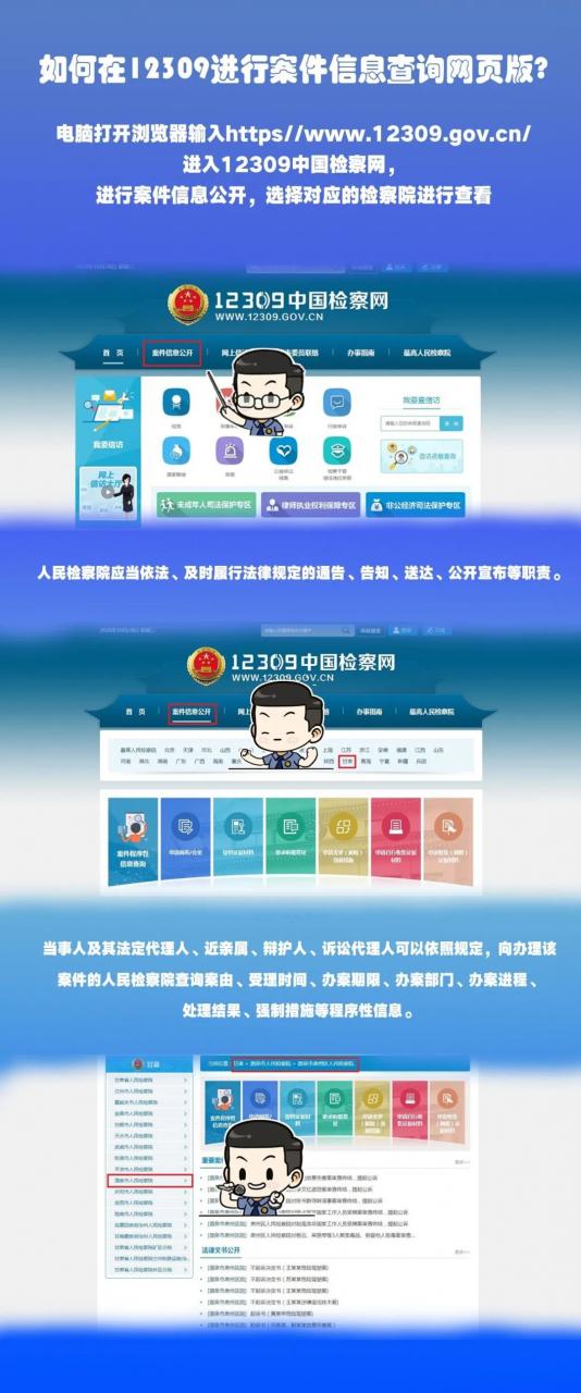 “手把手”教你玩转12309案件信息公开查询