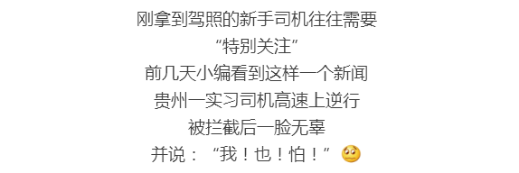 我！不！服！刚拿驾照1年不能单独上高速？看完懂了……