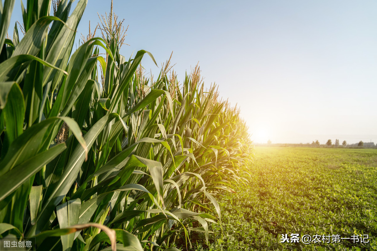 农村承包地的租赁合同怎么写？附合同范本