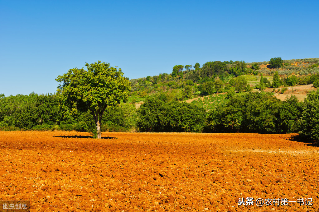 农村承包地的租赁合同怎么写？附合同范本