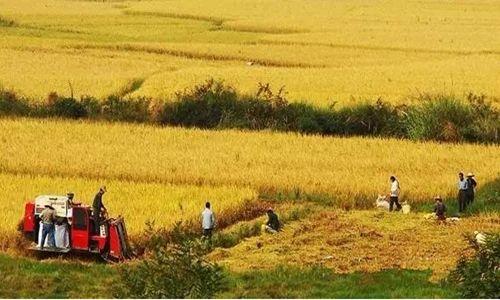 究竟是谁的土地？土地权属发生争议怎么办？