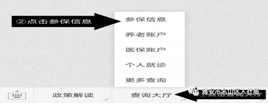 想在手机上缴纳和查询企业职工 基本养老保险、医疗保险的亲，看过来！