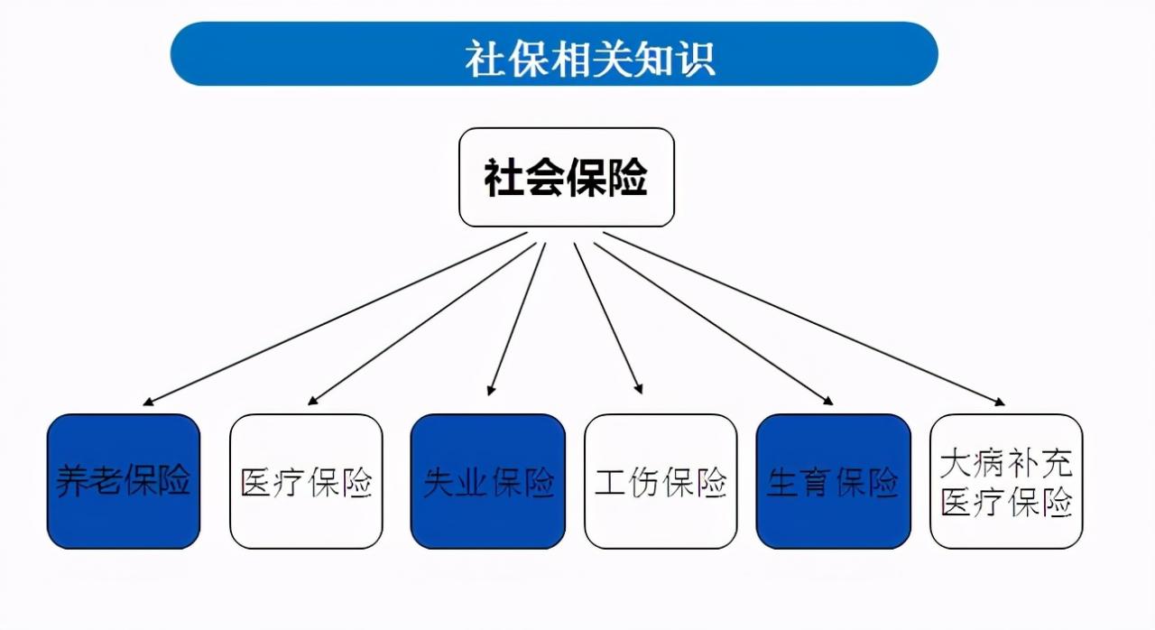 社保是不是就是五险？自己交多少钱？