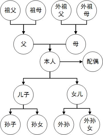 民法典中的亲属、近亲属及家庭成员范围：谁才是你的“真”亲属