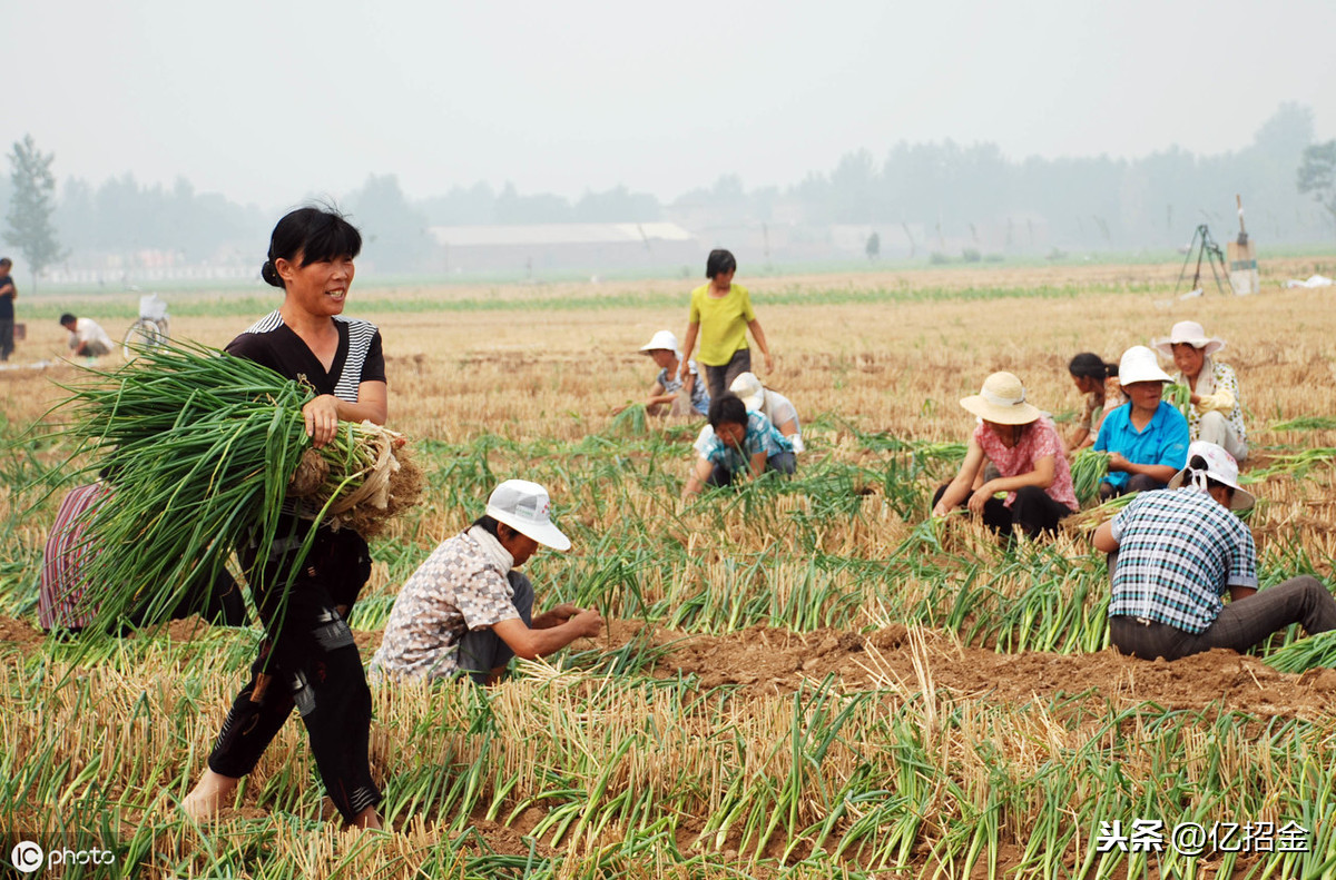 承包土地合同范本2019最新整理版，别忘了收藏！