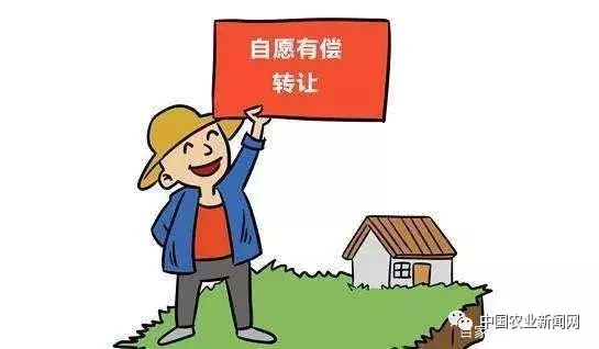 宅基地转让需要什么手续，答案在这里！