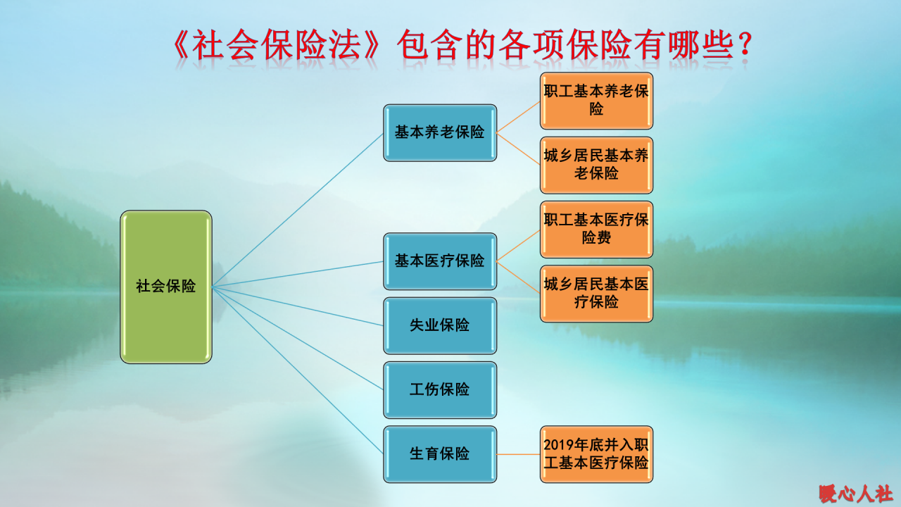 五险指的是哪五险？有什么用？可不可以不要？